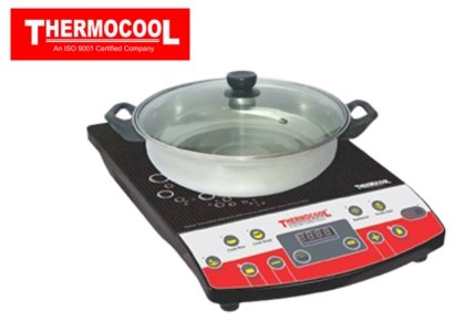 INDUCTION COOKER