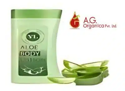 Aloe body