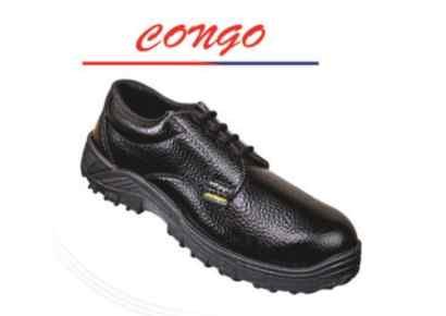 Congo Power