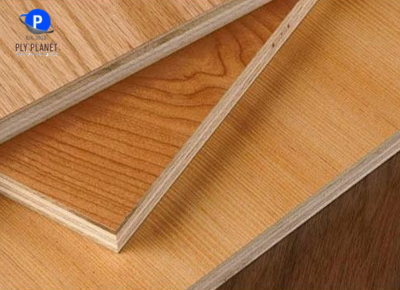 Veneer Plywood