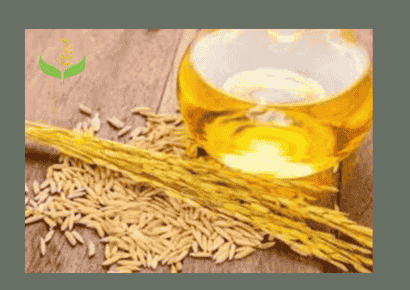 Rice Bran Oil