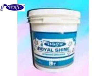 ROYAL DAMP PRO 20 LTR