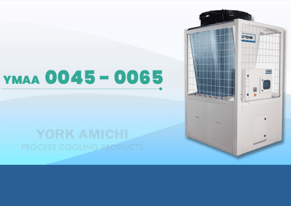 York Amichi 0045