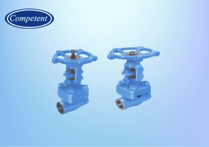 Forged Steel Gate Valve