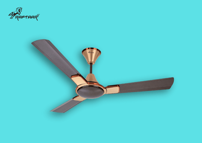 BLDC Ceiling Fan