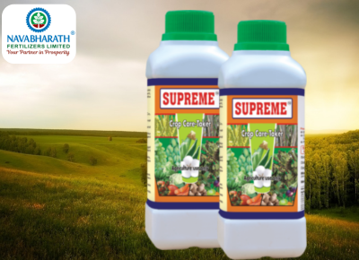 Bio Fertilizers – Supreme