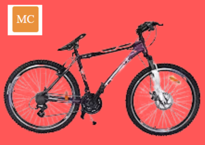 Road Cycle (Multicolor)