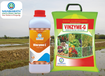 Vinzyme (Liquid & Granule)