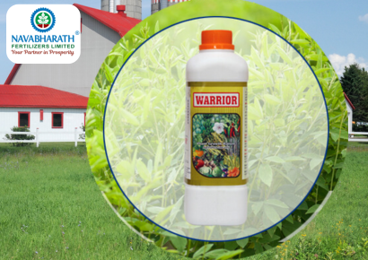 Bio Fertilizers – Warrior