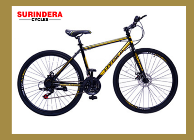 Hydra Bicycle 2