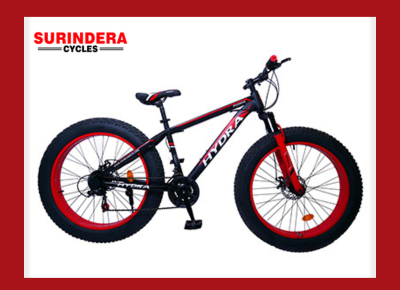 Hydra Bicycle 3