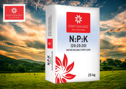 NPK 20:20:20 Fertilizer