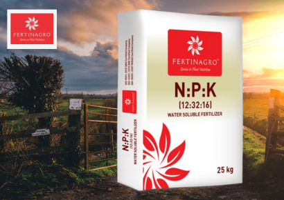 NPK 12:32:16 Fertilizer