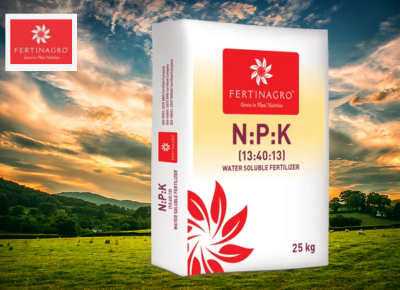 NPK 13:40:13 Water Soluble Fertilizers