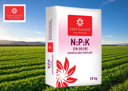 NPK 19:19:19 Fertilizer