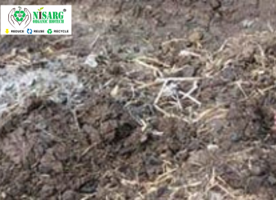 Buffalo Dung Compost