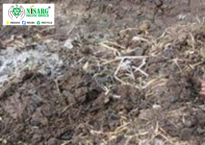 Buffalo Dung Compost