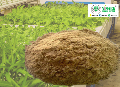 Bone Meal Powder