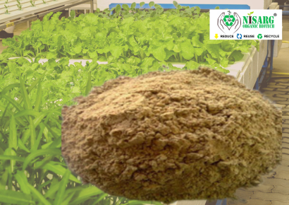 Bone Meal Powder