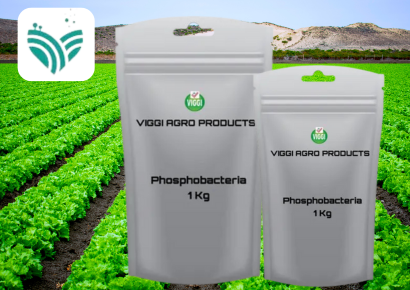 Phosphobacteria Powder