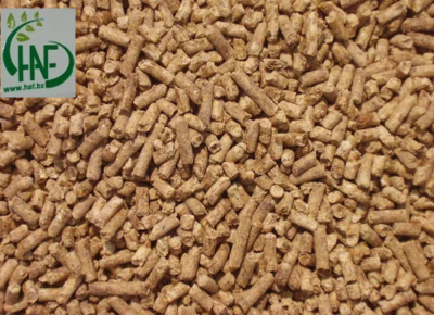 Beef Cattle Feed