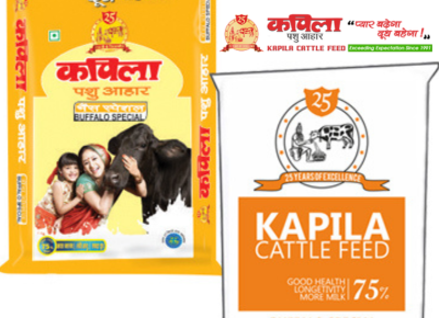 Kapila buffalo Special