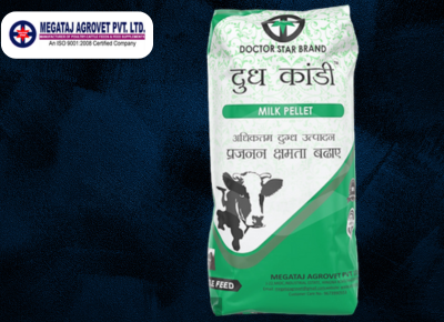 Cow Milk Feed