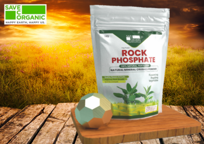 Orgi Power Rock Phosphate