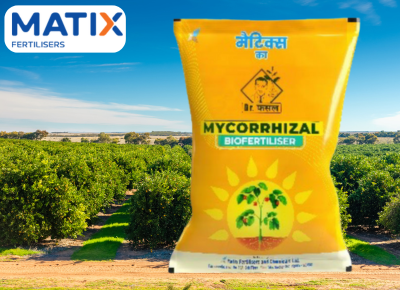 Mycorrhizal Biofertiliser