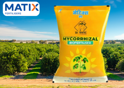 Mycorrhizal Biofertiliser