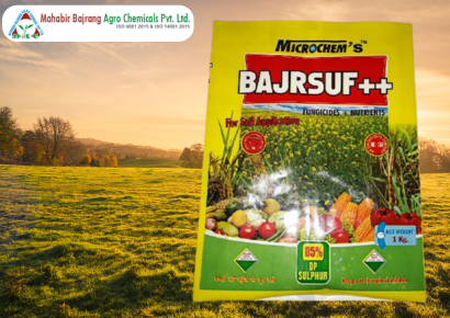 Bajrsuf++ Fungicides