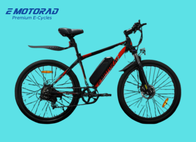 TRex Electric Bicycle