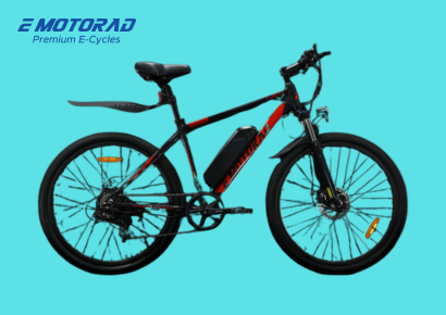 TRex Electric Bicycle