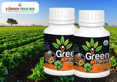 GREEN RAPID