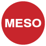 MESO Private Limited