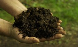 Organic Garden Fertilizer