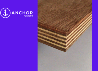 Anchor Sevak Commercial Plywood