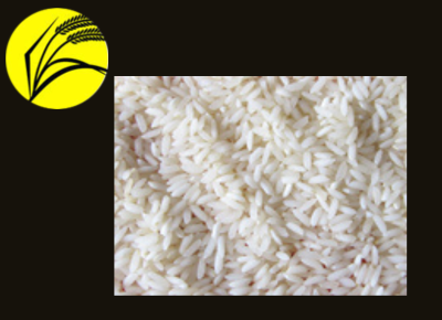 Sona Masuri Rice