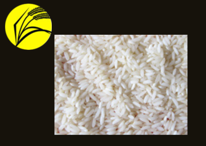 Sona Masuri Rice