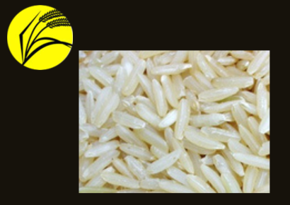 Kolam Rice