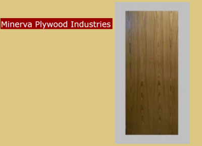 Teak Flush Door