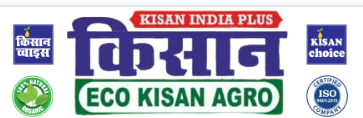 kisangroups